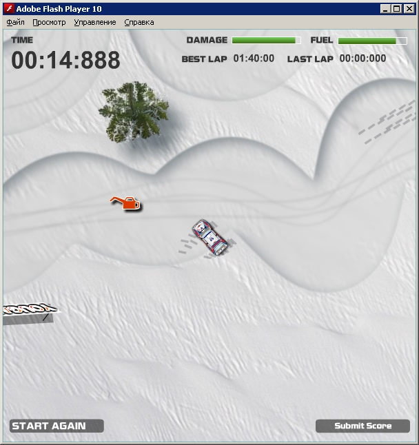 Snow Races